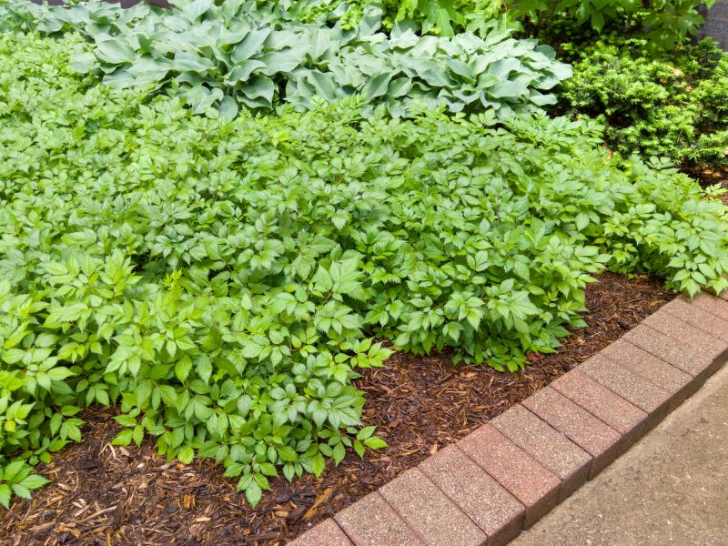 Brick Landscaping Installation in Boston, MA